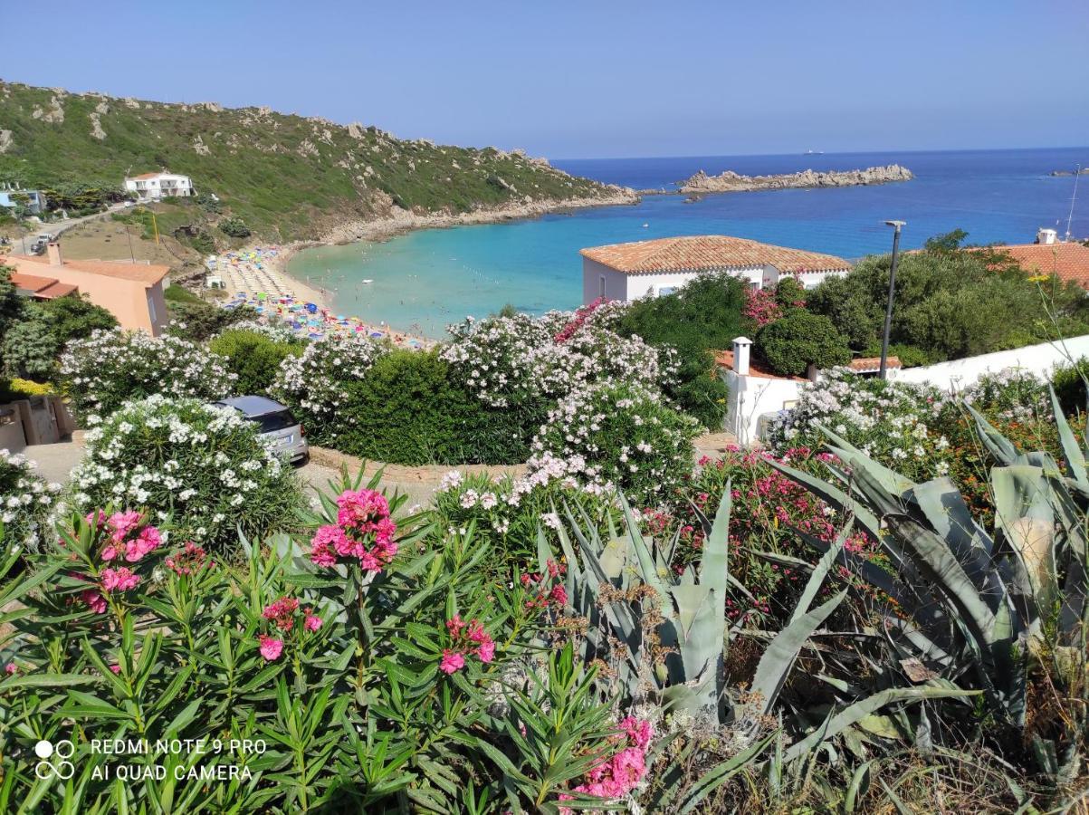 B&B Domus De Janas Santa Teresa Gallura Exterior photo
